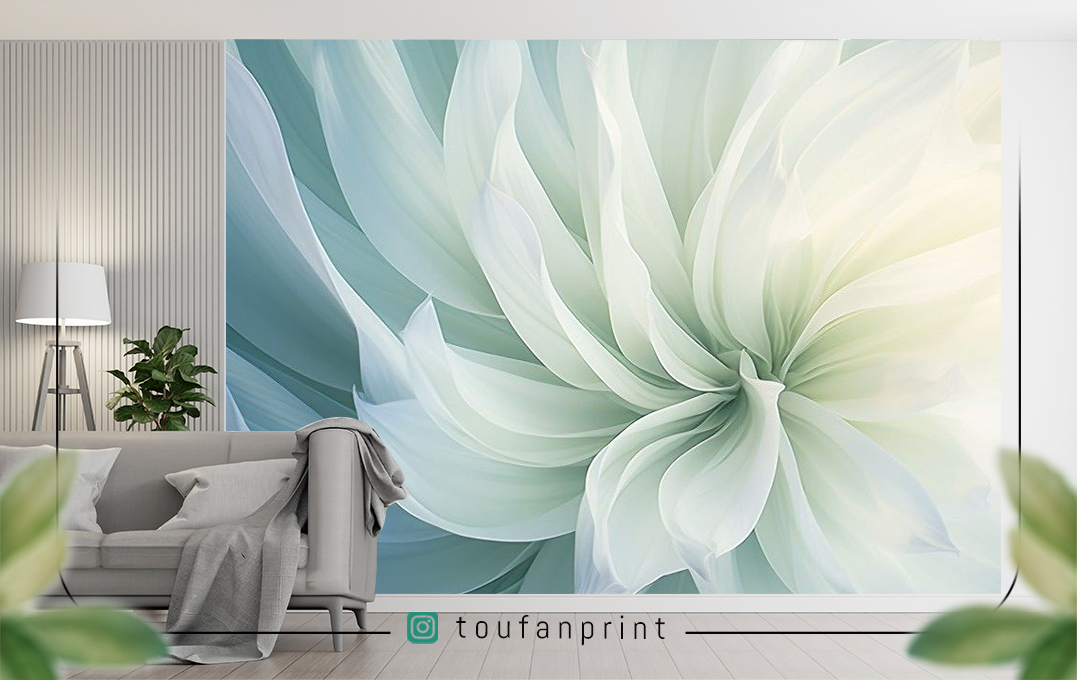 هلندی اکلیلی مات